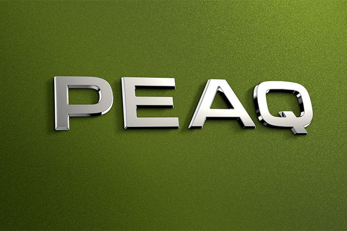 Skoda Peaq